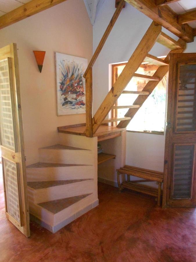 Palm-Covered House In The Tropical -Casa Oli Las Galeras Extérieur photo