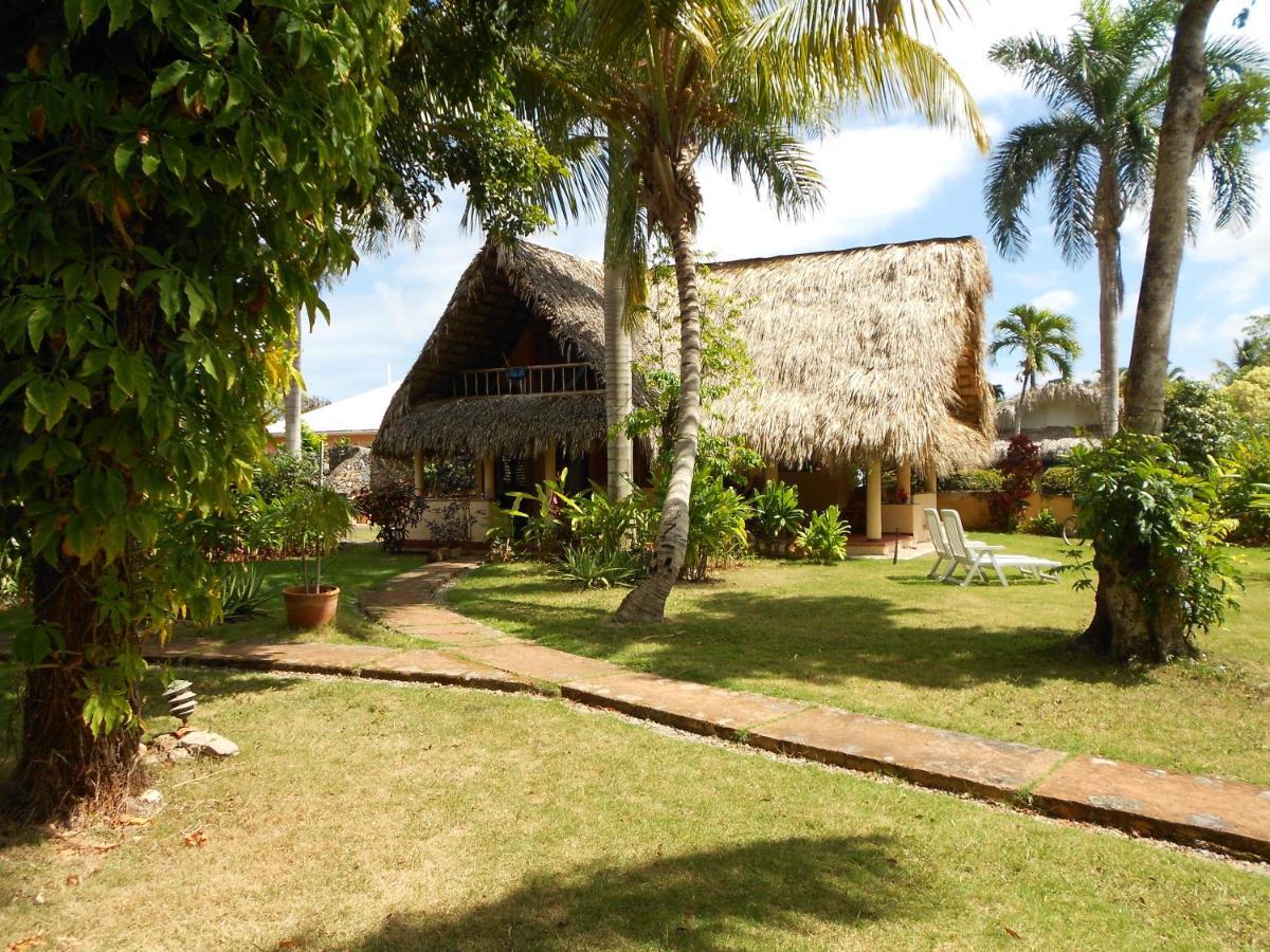 Palm-Covered House In The Tropical -Casa Oli Las Galeras Extérieur photo