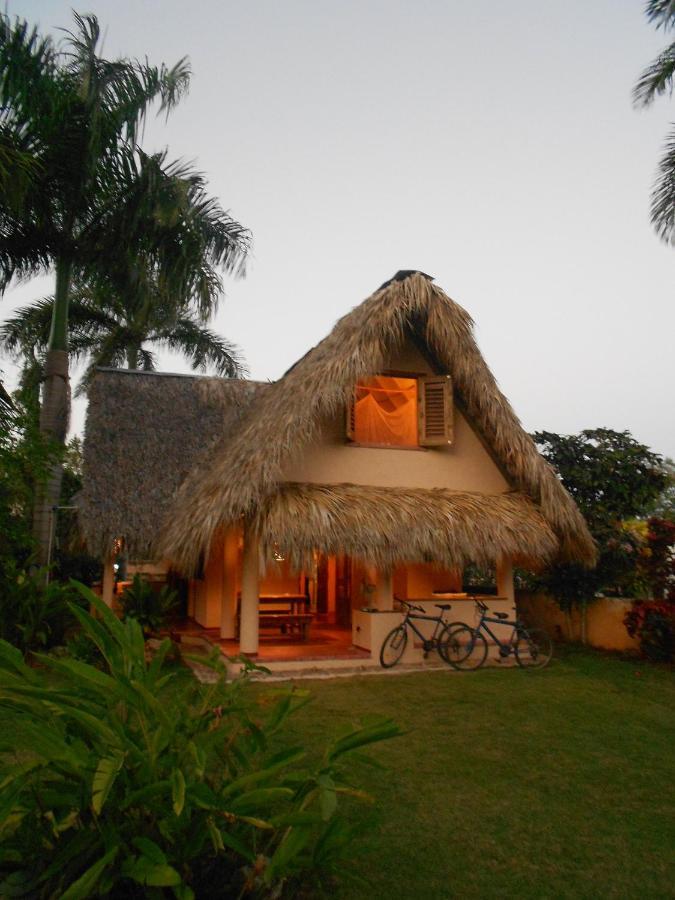 Palm-Covered House In The Tropical -Casa Oli Las Galeras Extérieur photo