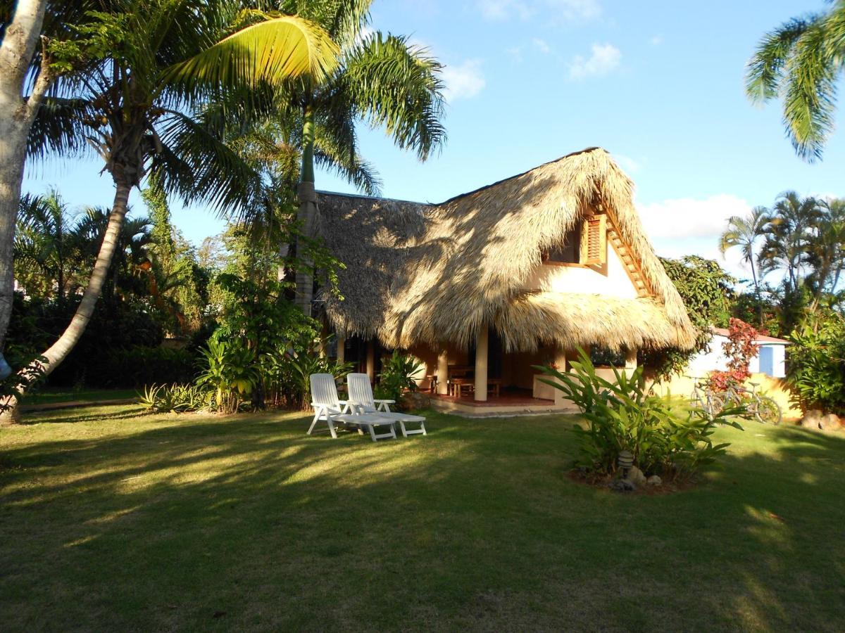 Palm-Covered House In The Tropical -Casa Oli Las Galeras Extérieur photo
