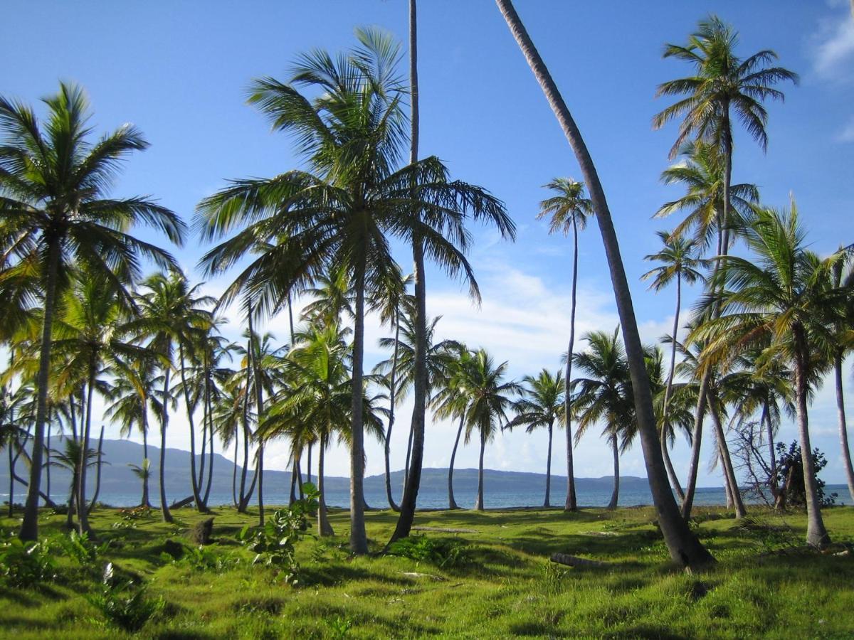 Palm-Covered House In The Tropical -Casa Oli Las Galeras Extérieur photo