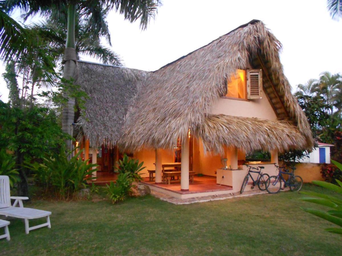 Palm-Covered House In The Tropical -Casa Oli Las Galeras Extérieur photo