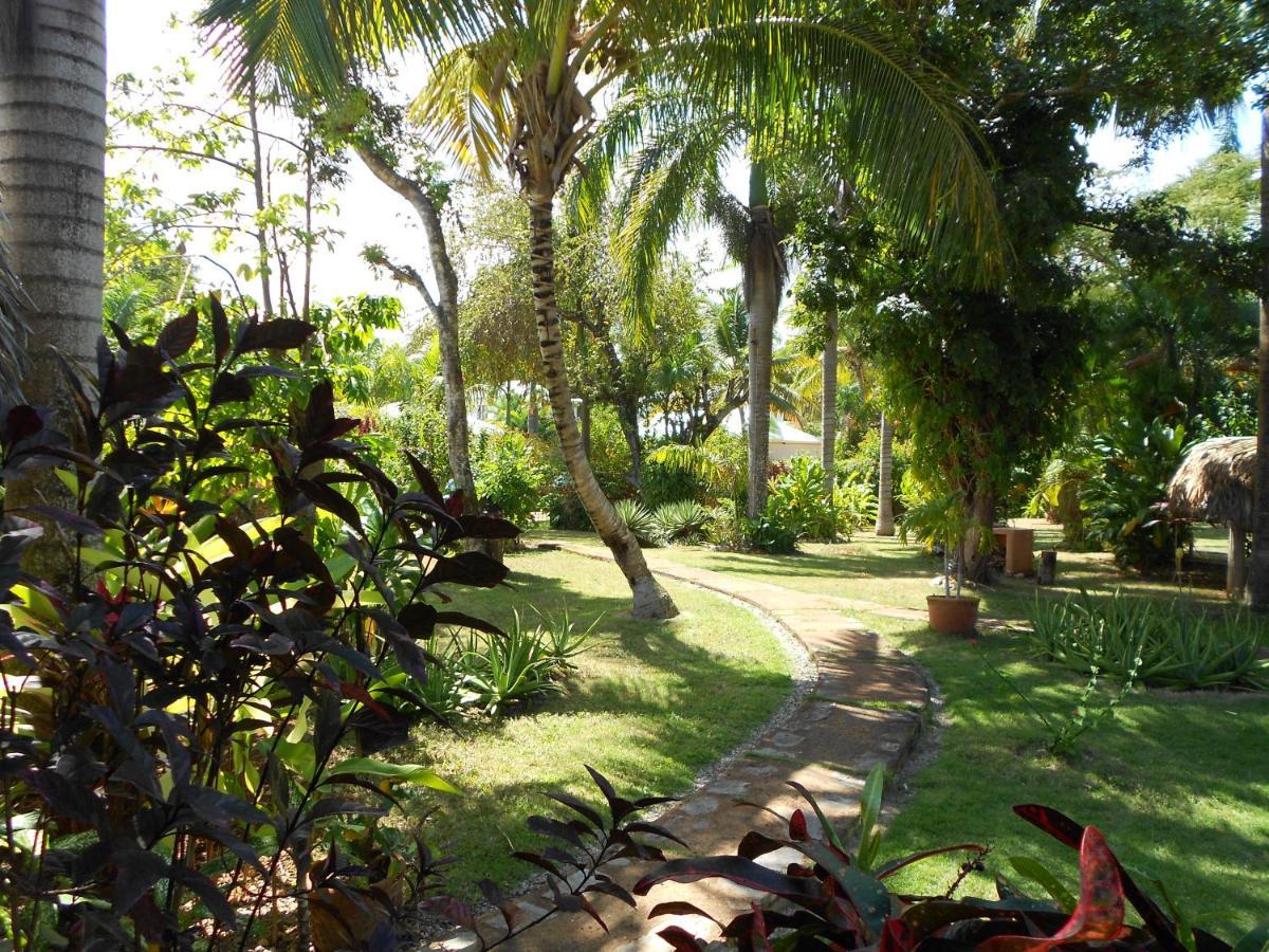 Palm-Covered House In The Tropical -Casa Oli Las Galeras Extérieur photo